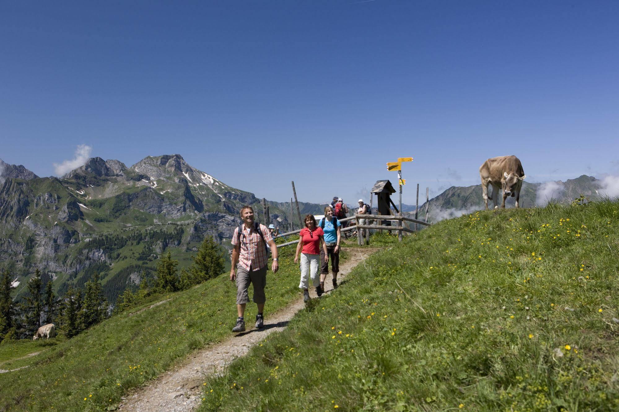 Berglodge Restaurant Ristis Engelberg Esterno foto